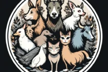 Terapia holística para Pets e outros animais domésticos e silvestres